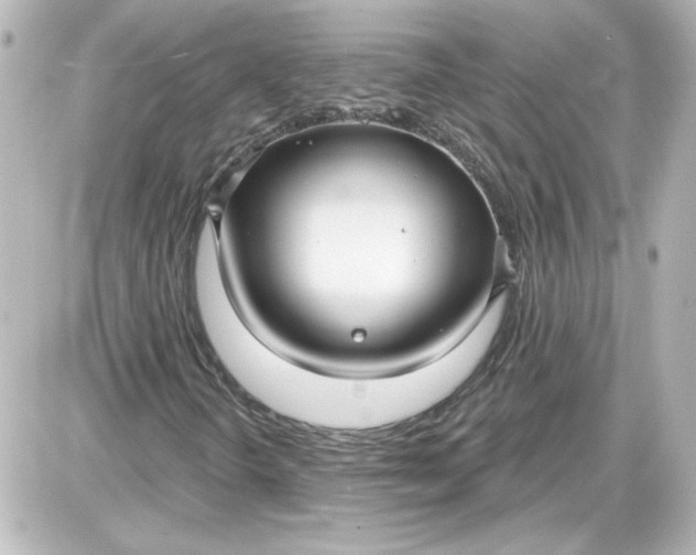 X0000087571298200705112202