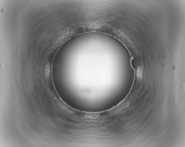 X0000087571299200705112202