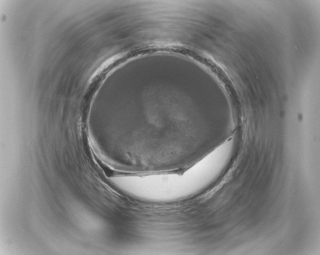 X0000087571306200705112202