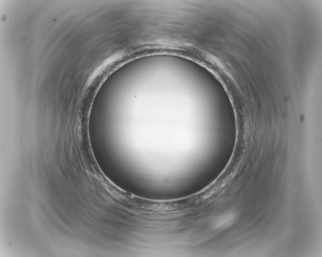 X0000087571307200705112202