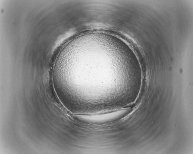 X0000087571309200705112202