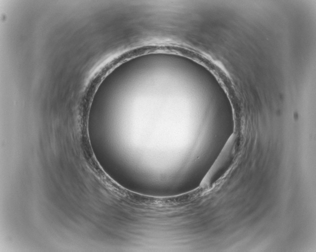 X0000087571311200705112202