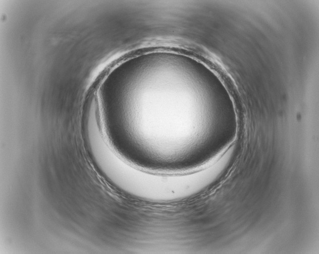 X0000087571312200705112202