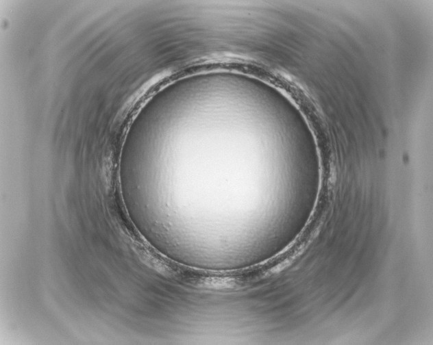 X0000087571313200705112202