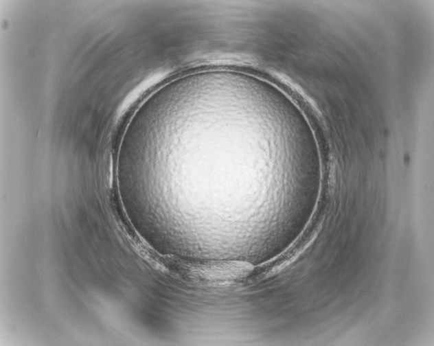 X0000087571317200705112202