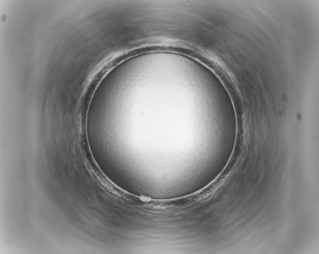 X0000087571318200705112202