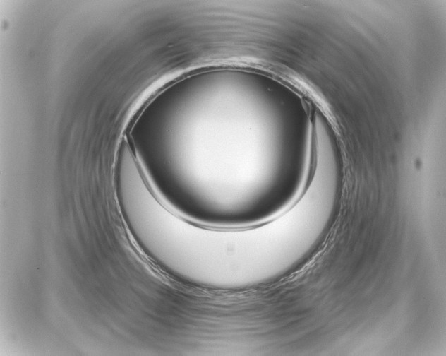 X0000087571332200705112203