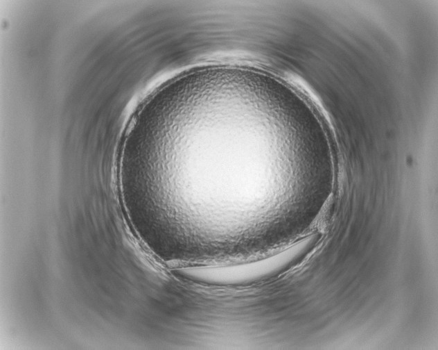 X0000087571336200705112203