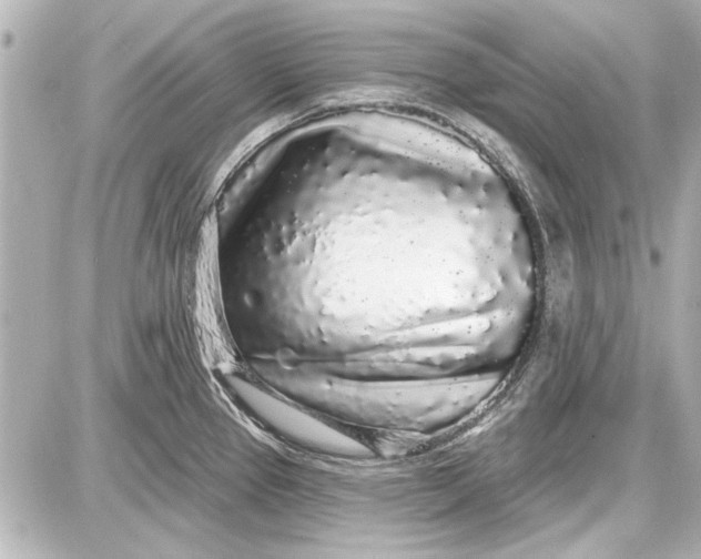 X0000087571337200705112203