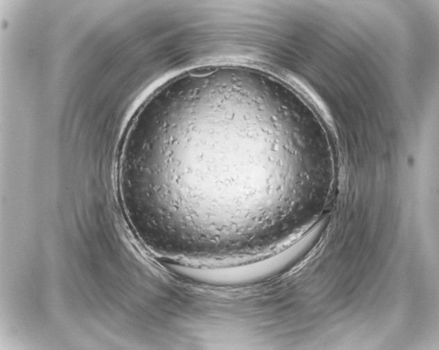 X0000087571340200705112203