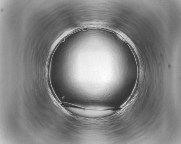 X0000087571341200705112203