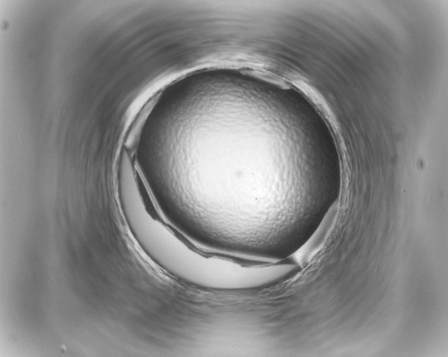 X0000087571344200705112203