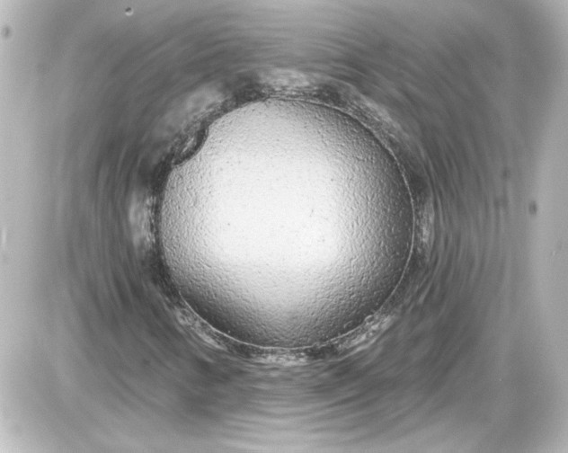 X0000087571346200705112202