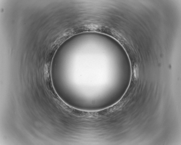 X0000087571347200705112202