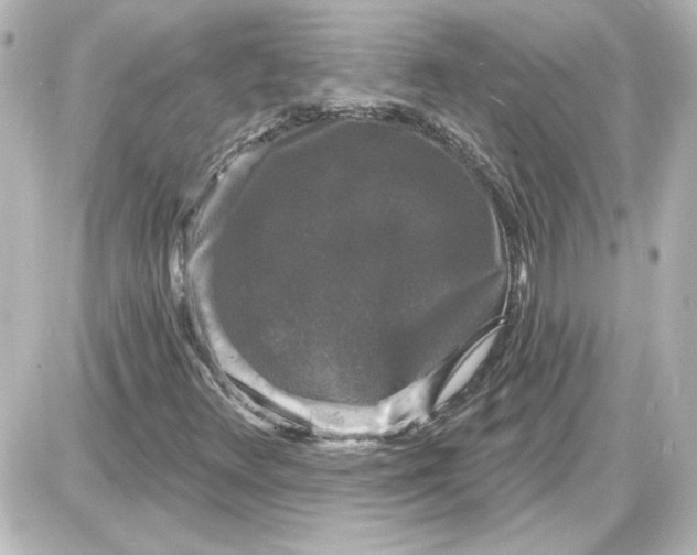 X0000087571348200705112202