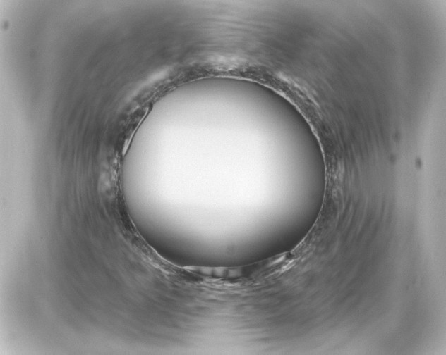 X0000087571349200705112202