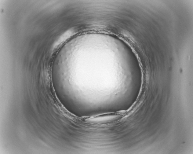 X0000087571354200705112202