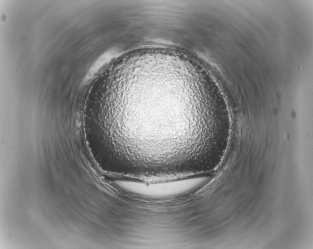X0000087571355200705112202