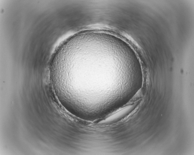 X0000087571358200705112202