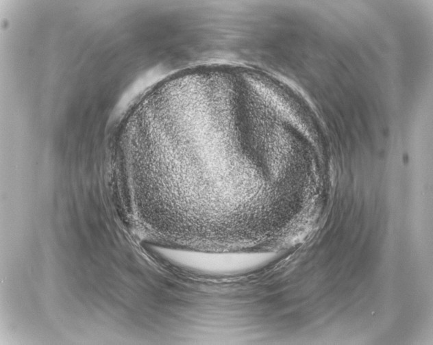 X0000087571359200705112202