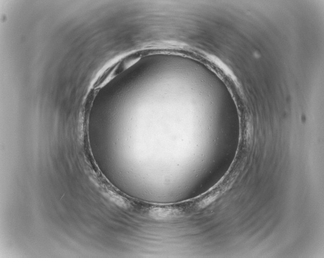 X0000087571364200705112202