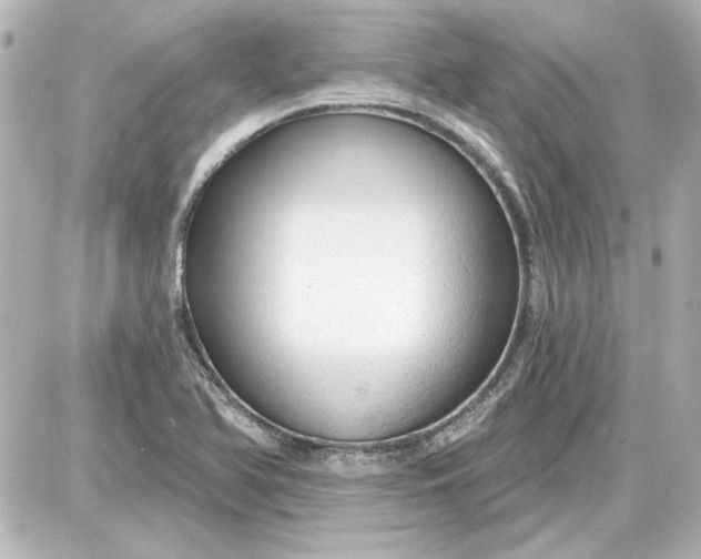 X0000087571366200705112202
