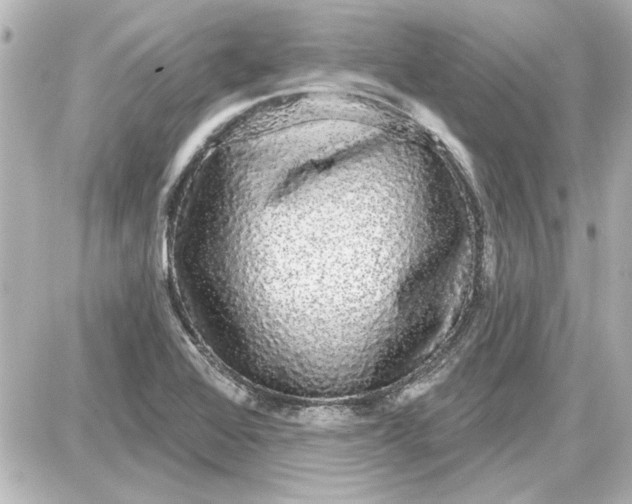 X0000087571368200705112202