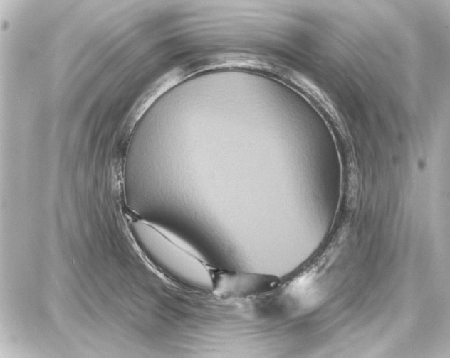 X0000087571377200705112201