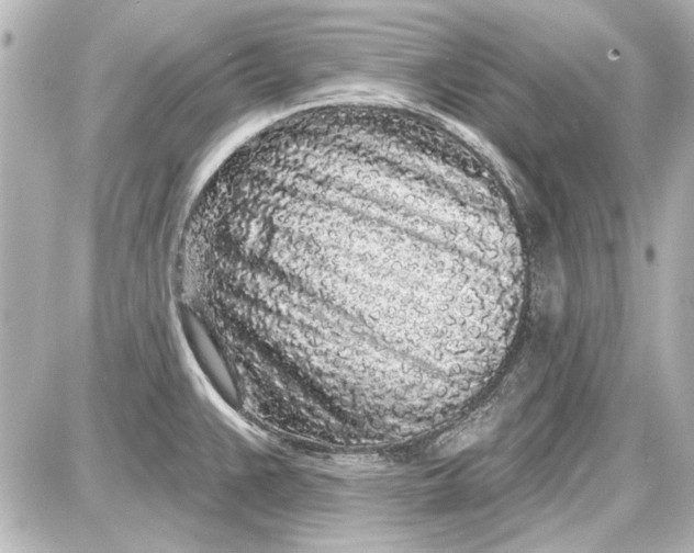 X0000087571383200705112201