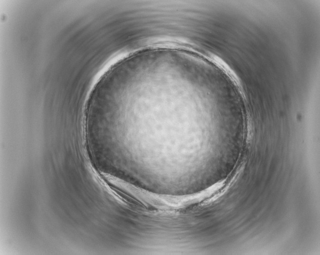 X0000087571384200705112201