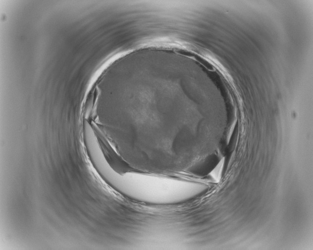 X0000087571392200705112201