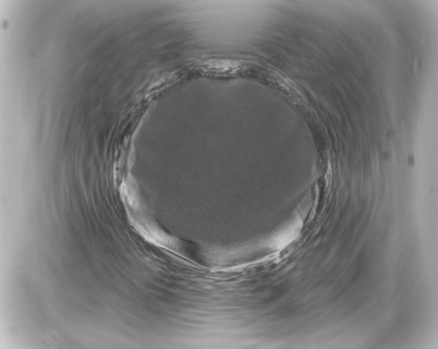 X0000087571394200705112200