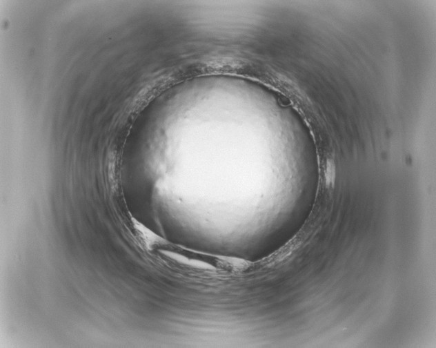 X0000087571396200705112200