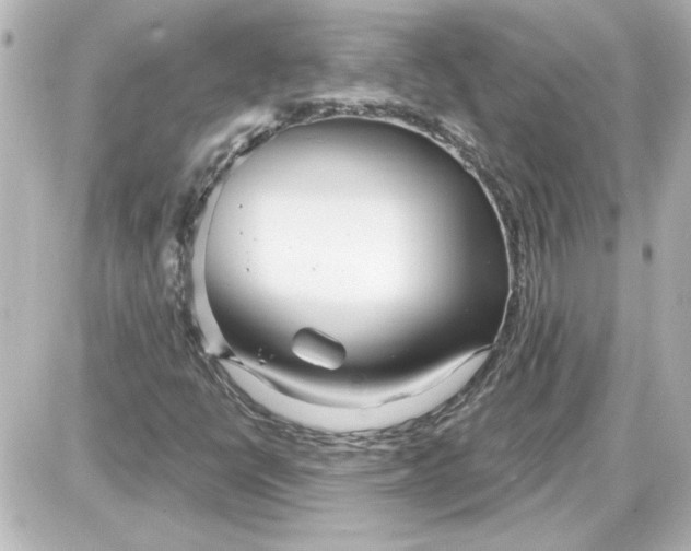 X0000087571398200705112201