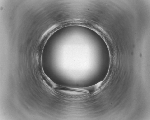 X0000087571402200705112201
