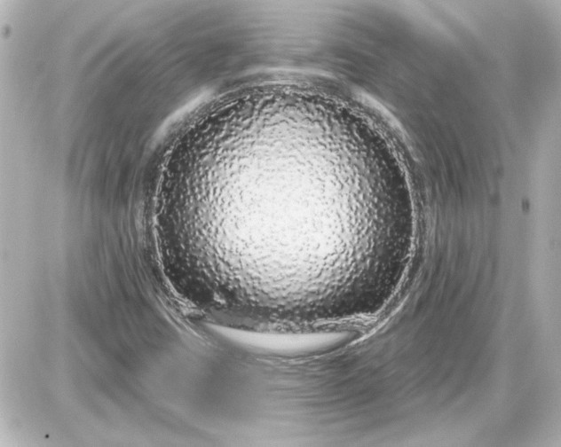 X0000087571403200705112201