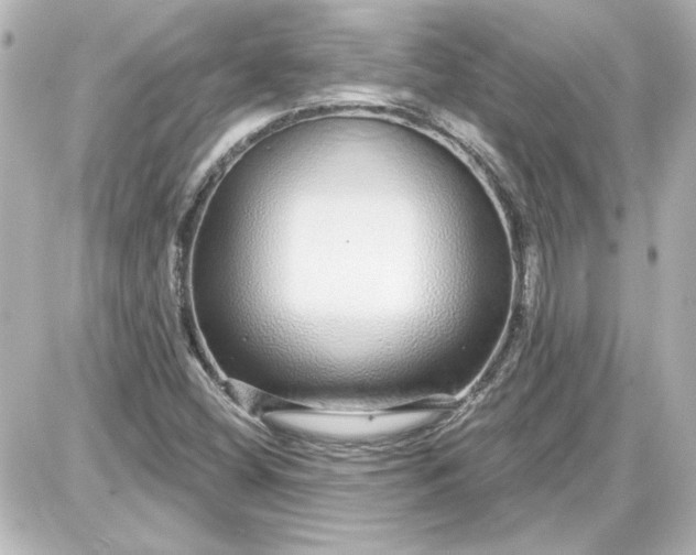 X0000087571404200705112201
