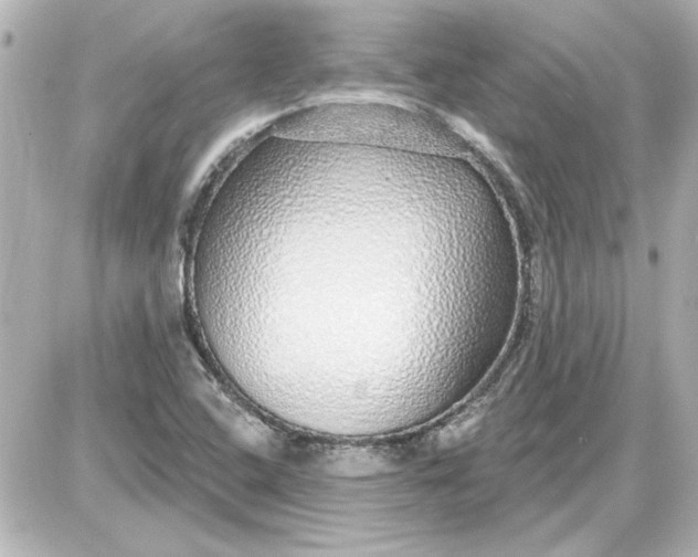 X0000087571408200705112201