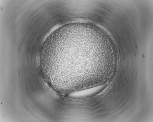 X0000087571409200705112201