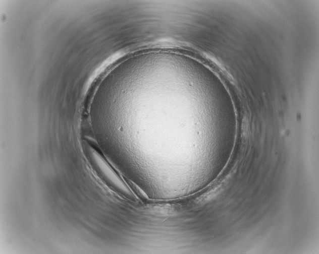 X0000087571410200705112201