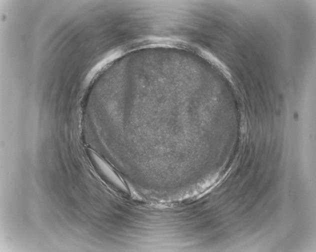 X0000087571411200705112201