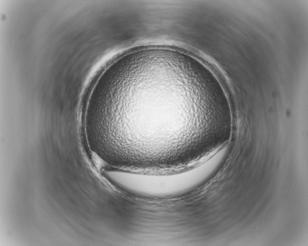 X0000087571416200705112201