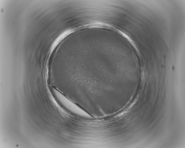 X0000087571418200705112201