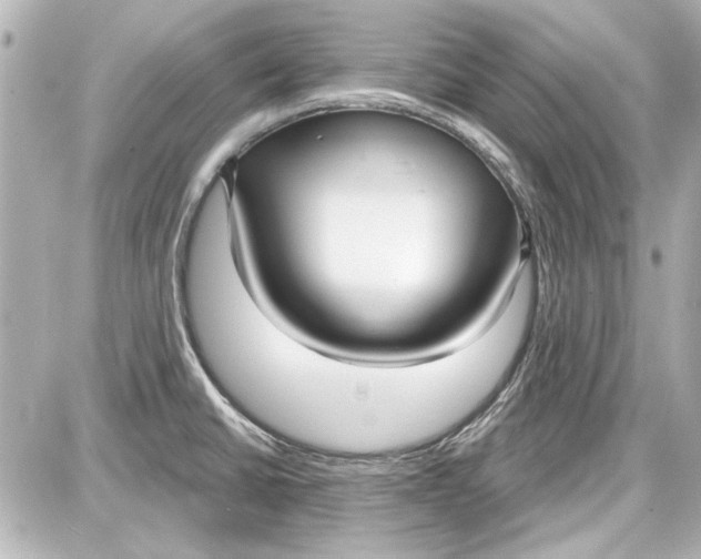 X0000087571430200705112201