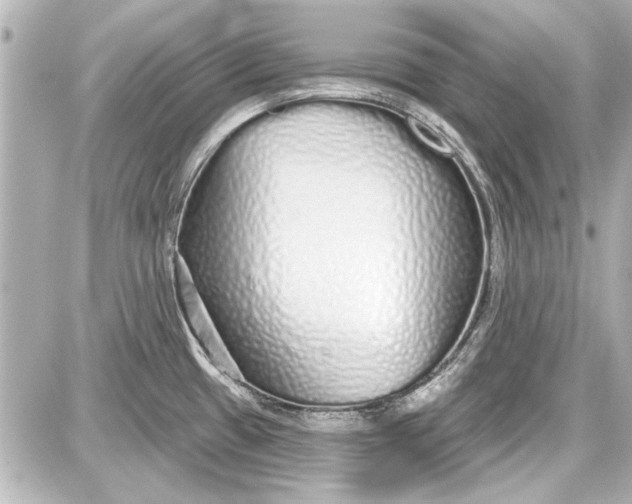 X0000087571433200705112201