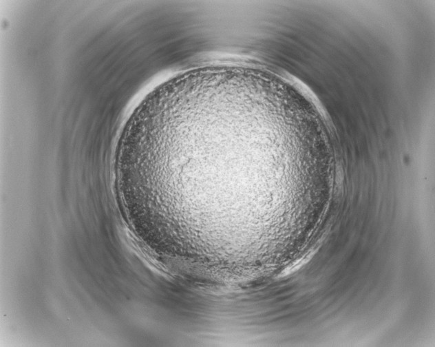 X0000087571435200705112201