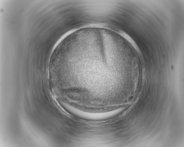 X0000087571436200705112201