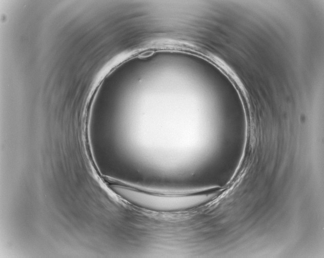 X0000087571437200705112201