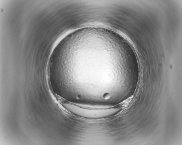 X0000087571440200705112201
