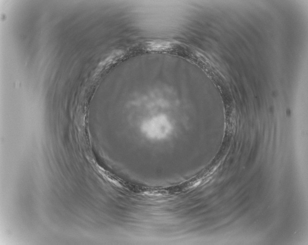 X0000087571441200705112200